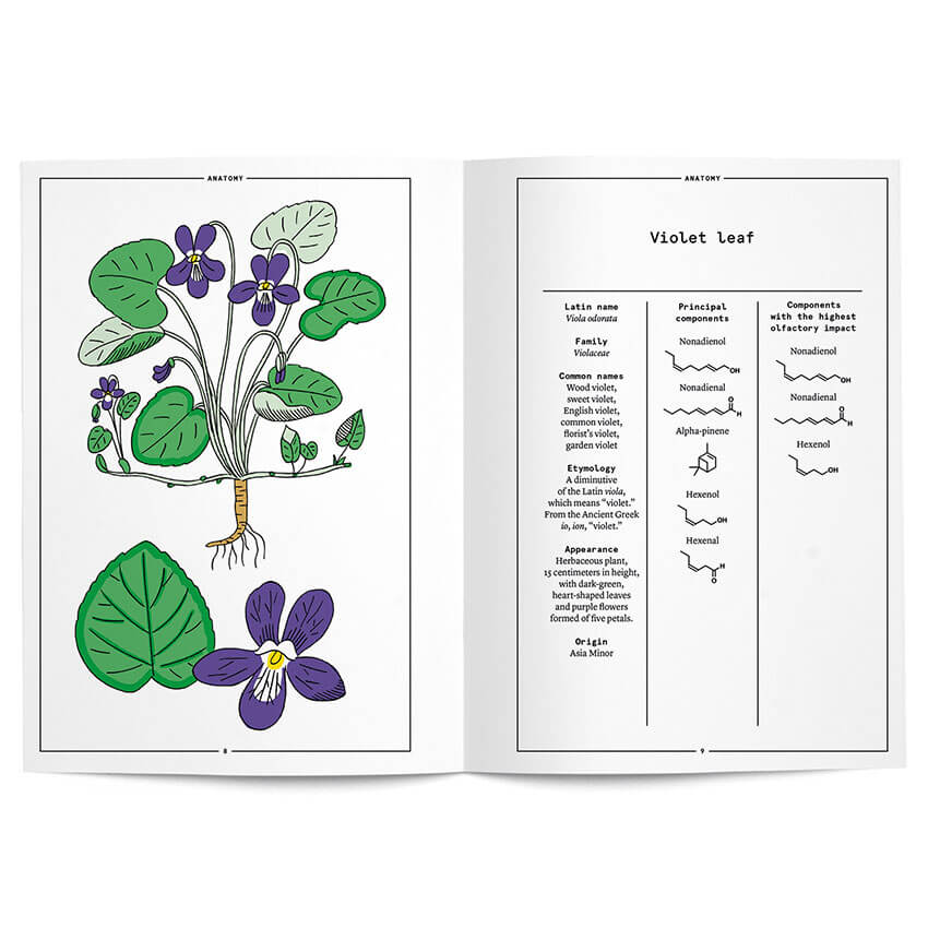 Violet leaf in perfumery. The naturals notebook. Book by Nez Editions. Villa Mode boutique.