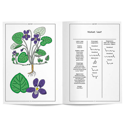 Violet leaf in perfumery. The naturals notebook. Book by Nez Editions. Villa Mode boutique.